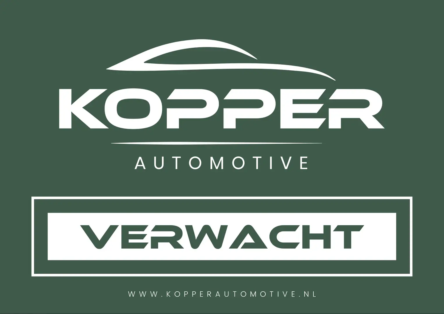 Mercedes-Benz GLE 500 e 4MATIC / AMG / Luchtvering / Leder Blauw - 1