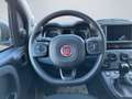 Fiat Panda Cross BT PDC Lichtsensor Regensensor Android Apple Grau - thumbnail 12