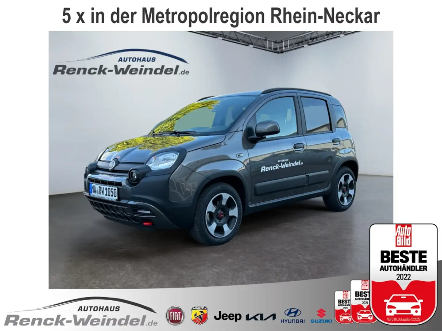 Fiat Panda Cross BT PDC Lichtsensor Regensensor Android Apple Grau - 1