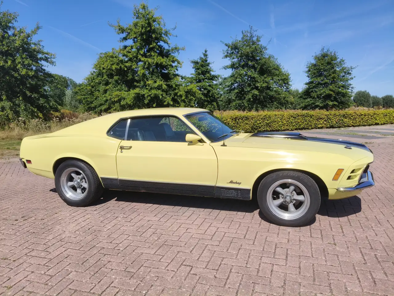 Ford Mustang MACH 1 TREMEC 5 SPEED CLEVELAND, foto 6