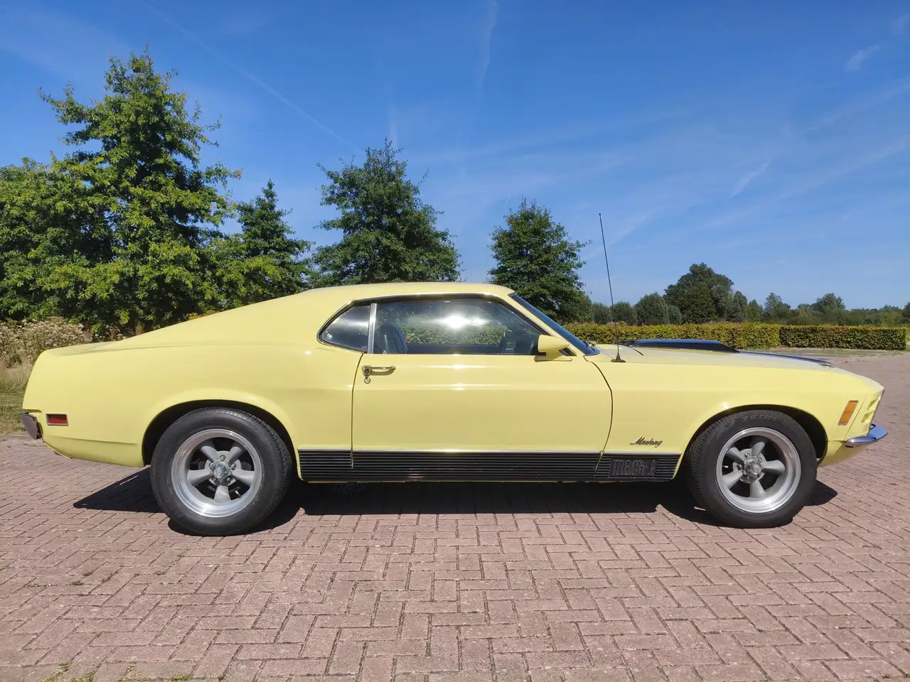 Ford Mustang MACH 1 TREMEC 5 SPEED CLEVELAND, foto 7