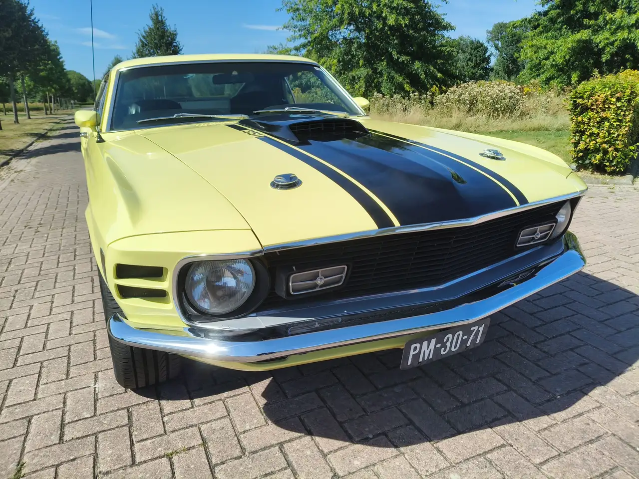 Ford Mustang MACH 1 TREMEC 5 SPEED CLEVELAND, foto 2
