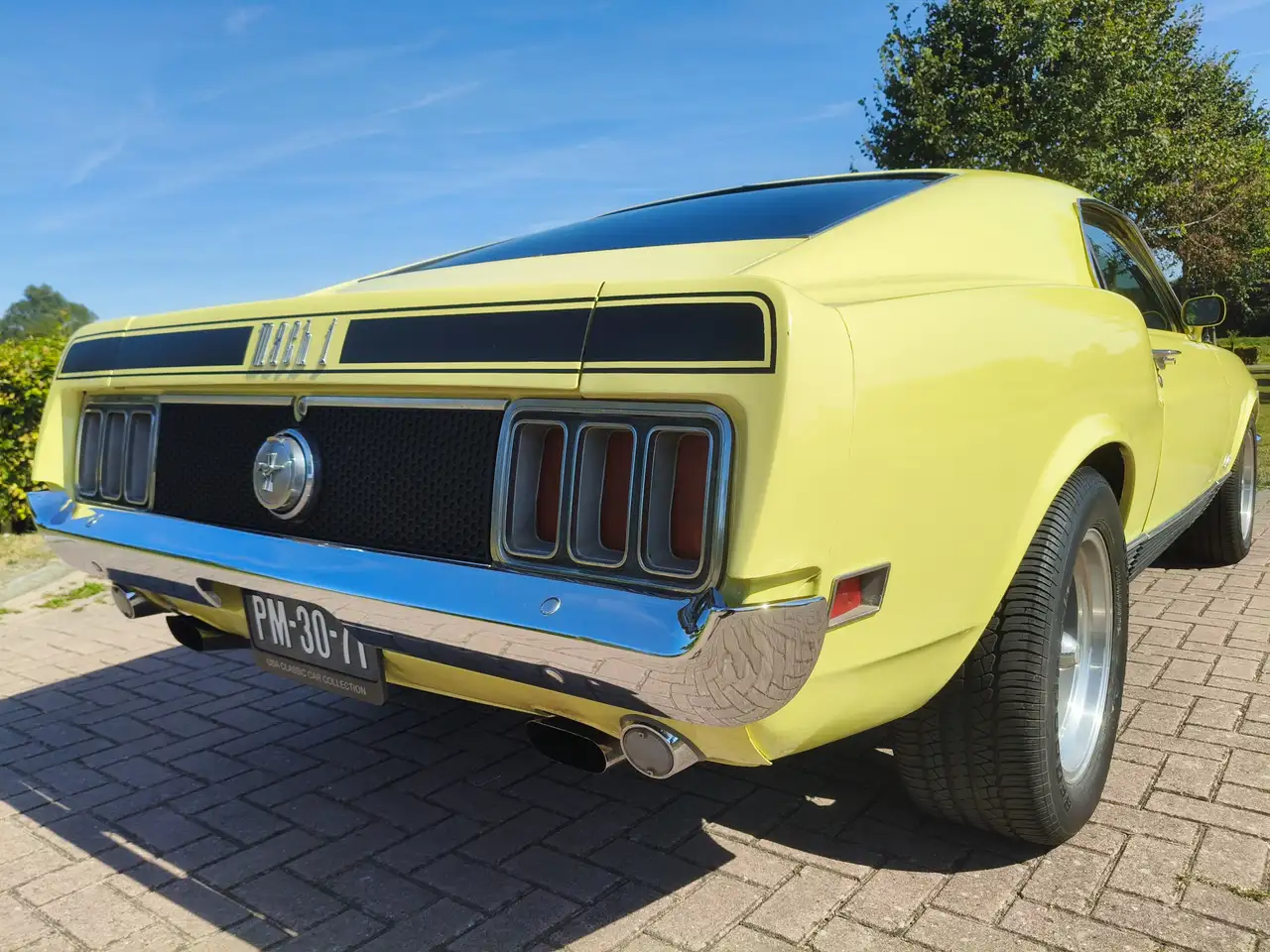 Ford Mustang MACH 1 TREMEC 5 SPEED CLEVELAND, foto 12