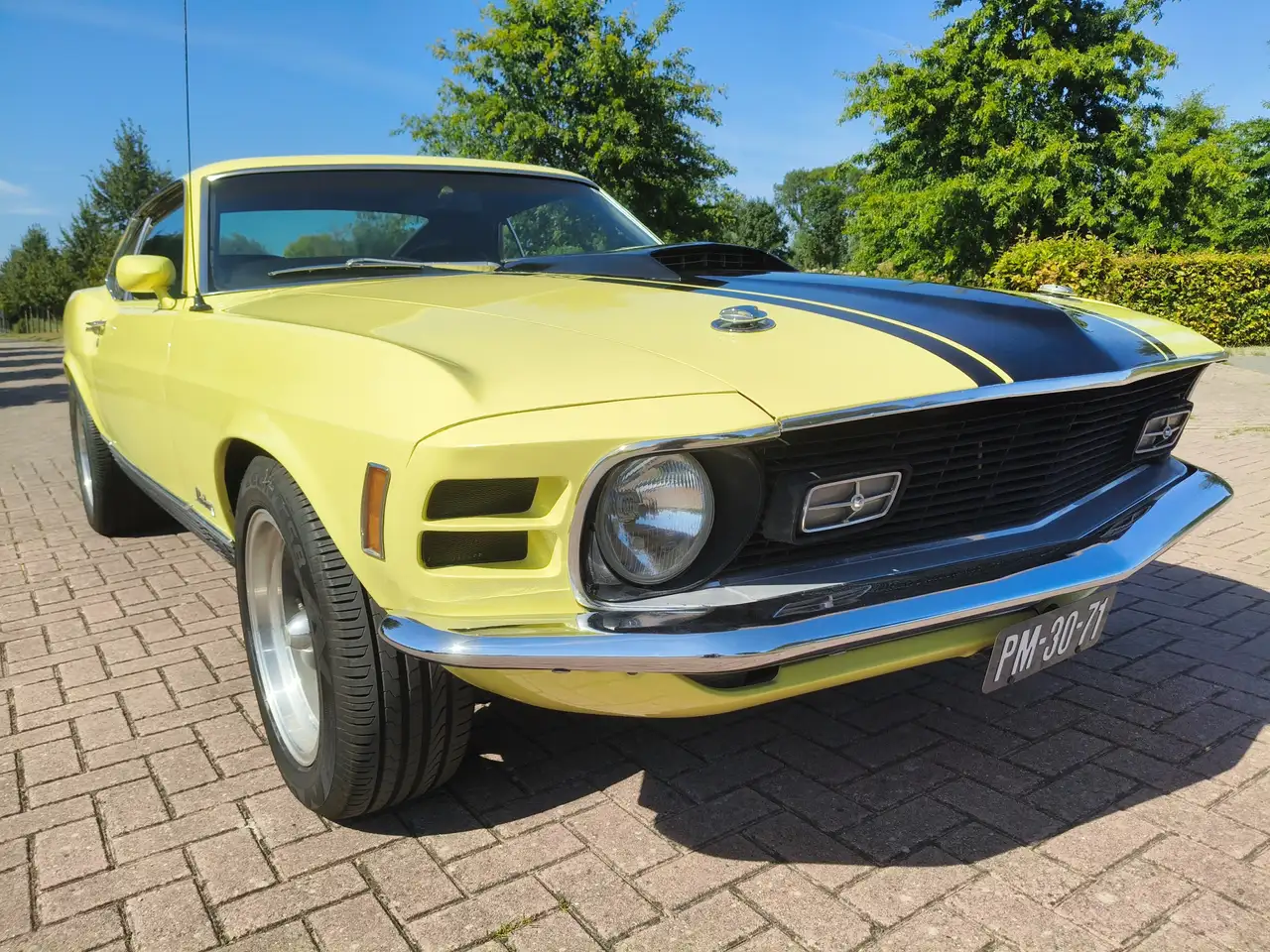Ford Mustang MACH 1 TREMEC 5 SPEED CLEVELAND, foto 4