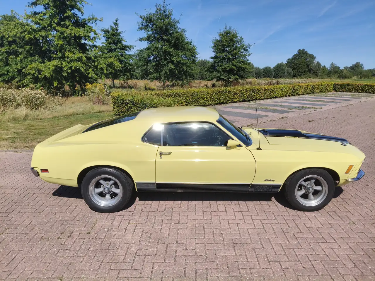 Ford Mustang MACH 1 TREMEC 5 SPEED CLEVELAND, foto 8