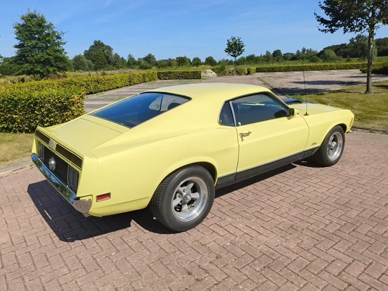 Ford Mustang MACH 1 TREMEC 5 SPEED CLEVELAND, foto 9