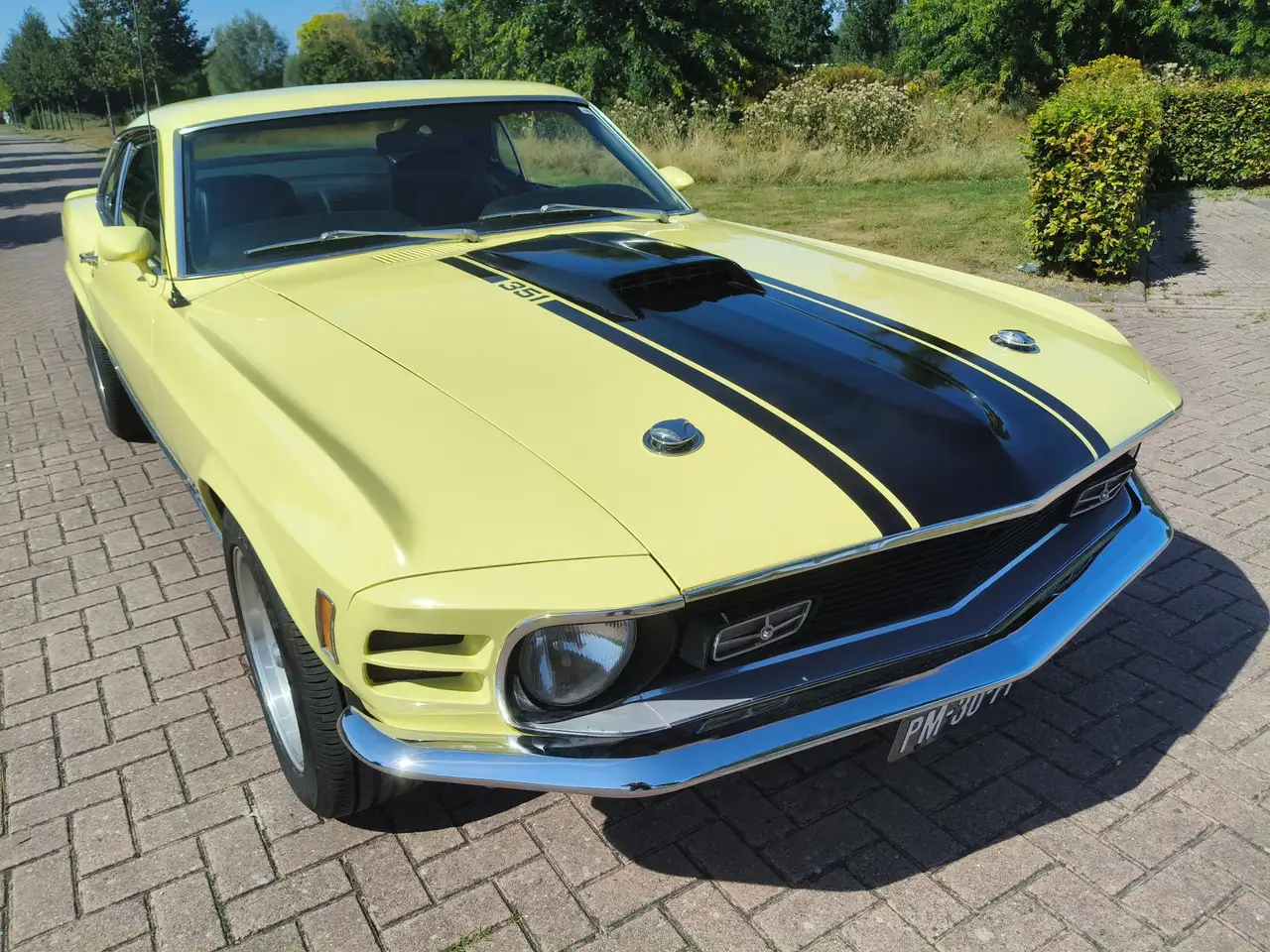 Ford Mustang MACH 1 TREMEC 5 SPEED CLEVELAND, foto 3