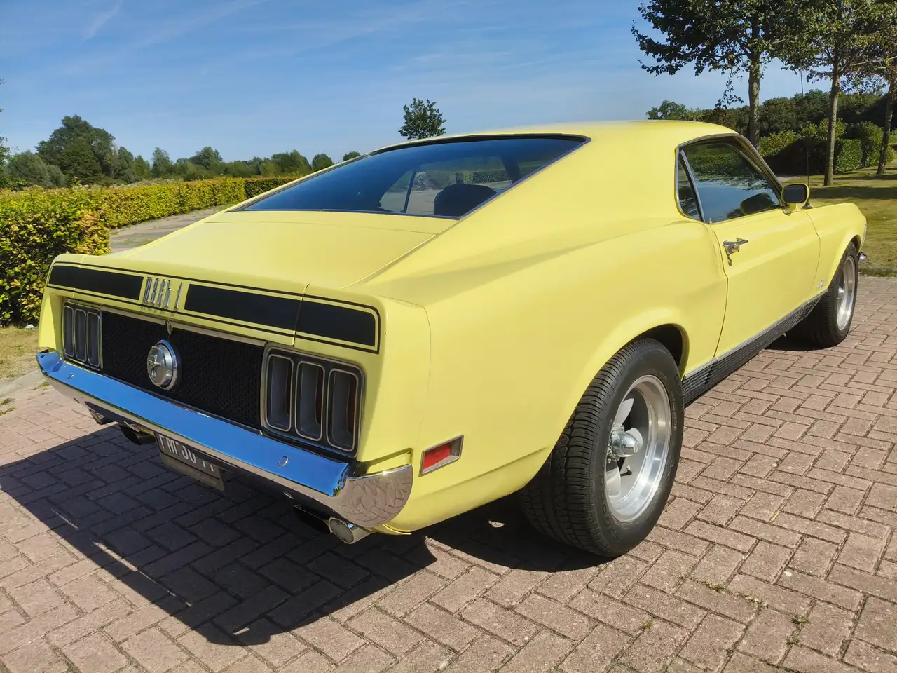 Ford Mustang MACH 1 TREMEC 5 SPEED CLEVELAND, foto 10