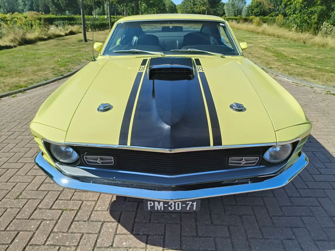Ford Mustang MACH 1 TREMEC 5 SPEED CLEVELAND, foto 5