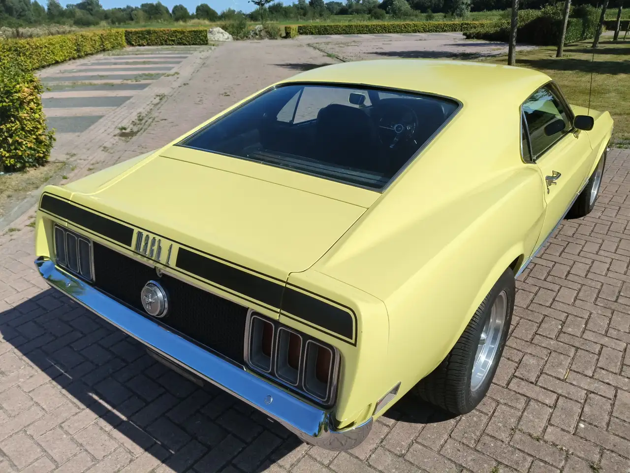 Ford Mustang MACH 1 TREMEC 5 SPEED CLEVELAND, foto 11