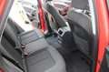 Audi Q5 2.0 35 TDI quattro S-tronic Navi Luftfederung Park Rot - thumbnail 21