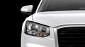 Audi Q2 30 TDI S tronic Business Bianco - thumbnail 7