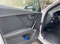 Audi SQ2 Q2 I 2021 2.0 tfsi Sport Attitude quattro s-tronic Weiß - thumbnail 22