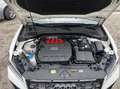 Audi SQ2 Q2 I 2021 2.0 tfsi Sport Attitude quattro s-tronic Weiß - thumbnail 29