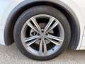 Volkswagen Tiguan Tiguan 2,0 TDI SCR 4Motion Highline DSG Highline Weiß - thumbnail 17
