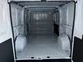 Fiat Ducato L2H1 MY25 30 120PS/RFK/KLIMA/RADIO/ 88 kW (120 ... Weiß - thumbnail 11