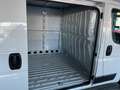 Fiat Ducato L2H1 MY25 30 120PS/RFK/KLIMA/RADIO/ 88 kW (120 ... Weiß - thumbnail 12