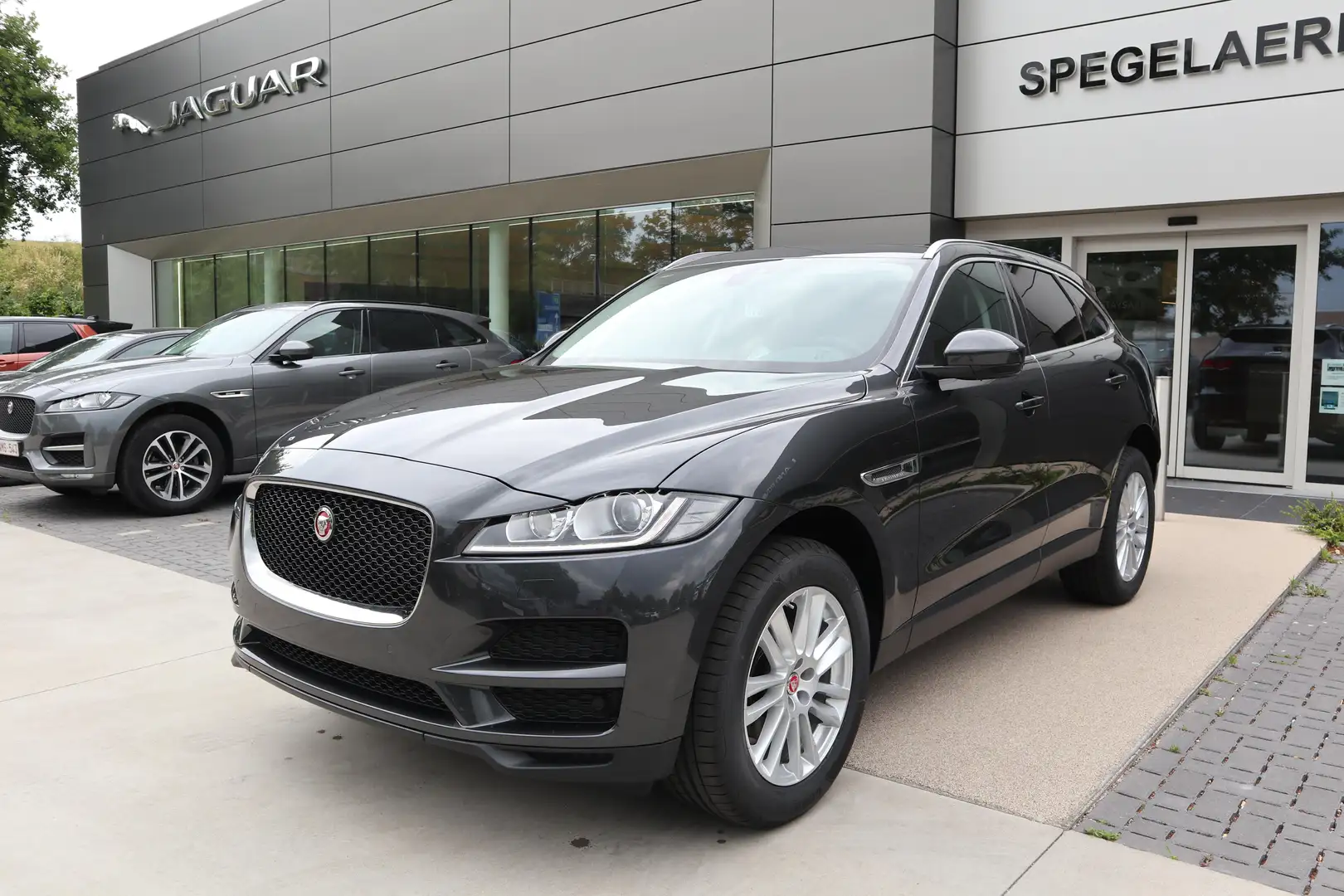 Jaguar F-Pace Prestige Gri - 1