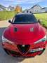 Alfa Romeo Stelvio V6 2.9 Bi-Turbo AT8-Q4 Quadrifoglio Rot - thumbnail 7