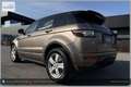 Land Rover Range Rover Evoque Dynamic Braun - thumbnail 10