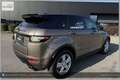 Land Rover Range Rover Evoque Dynamic Braun - thumbnail 26