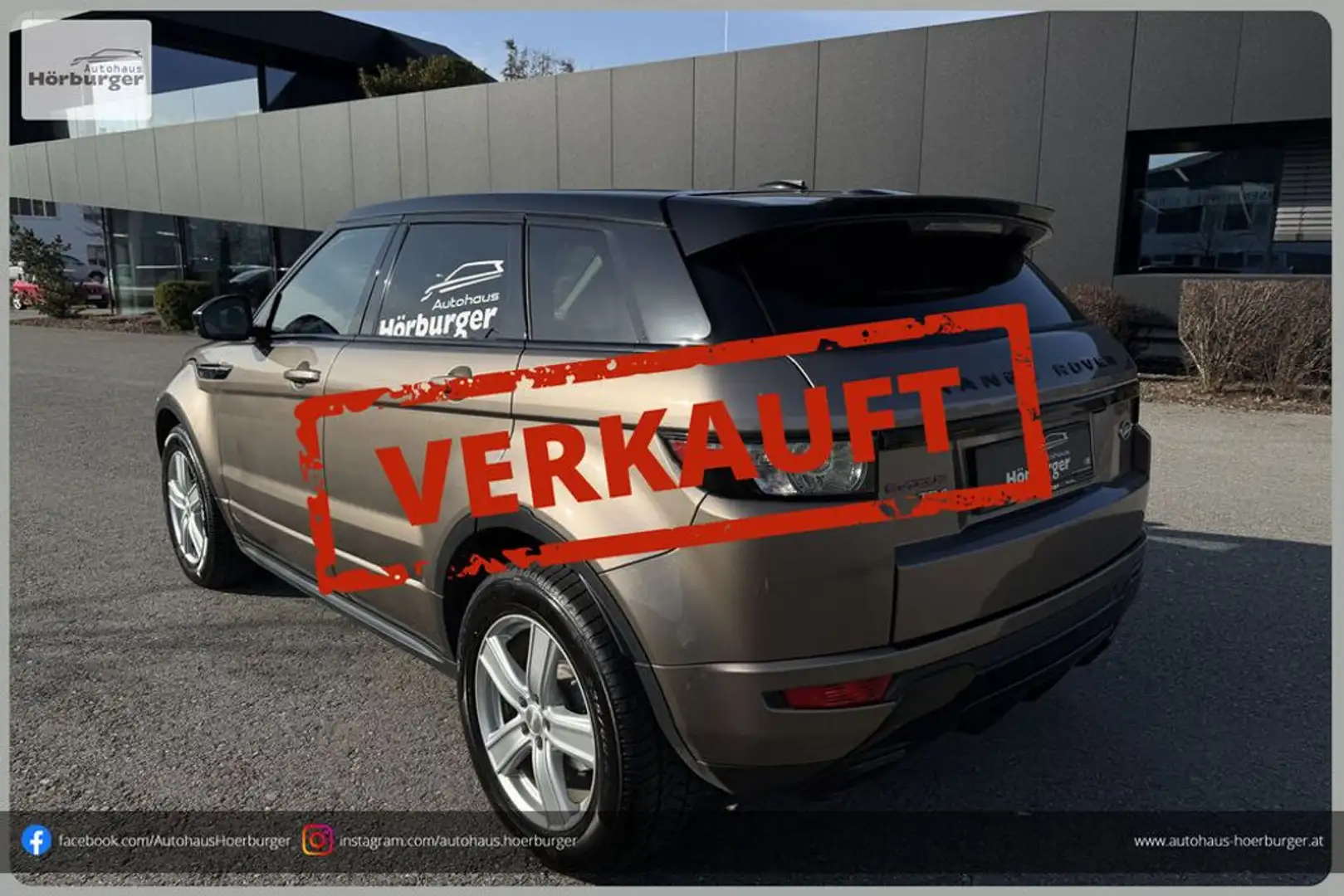 Land Rover Range Rover Evoque Dynamic Braun - 1