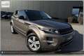 Land Rover Range Rover Evoque Dynamic Braun - thumbnail 12