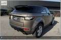 Land Rover Range Rover Evoque Dynamic Braun - thumbnail 30