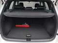 SEAT Ateca Xperience 1.5 TSI 110kW (150PS) 7-Gang-DSG Weiß - thumbnail 19