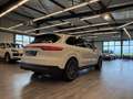 Porsche Cayenne E-Hybr Matrix Pano Luft AHK Surround Vie Weiß - thumbnail 5