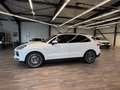 Porsche Cayenne E-Hybr Matrix Pano Luft AHK Surround Vie Weiß - thumbnail 7