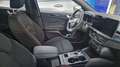 Ford Focus Focus 1.5 ecoblue ST-Line X 115cv auto Grigio - thumbnail 6