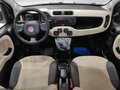 Fiat Panda Panda 0.9 TwinAir Turbo Natural Power Easy*BENZIN Beige - thumbnail 21