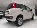 Fiat Panda Panda 0.9 TwinAir Turbo Natural Power Easy*BENZIN Beige - thumbnail 3