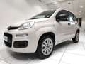 Fiat Panda Panda 0.9 TwinAir Turbo Natural Power Easy*BENZIN Beige - thumbnail 13