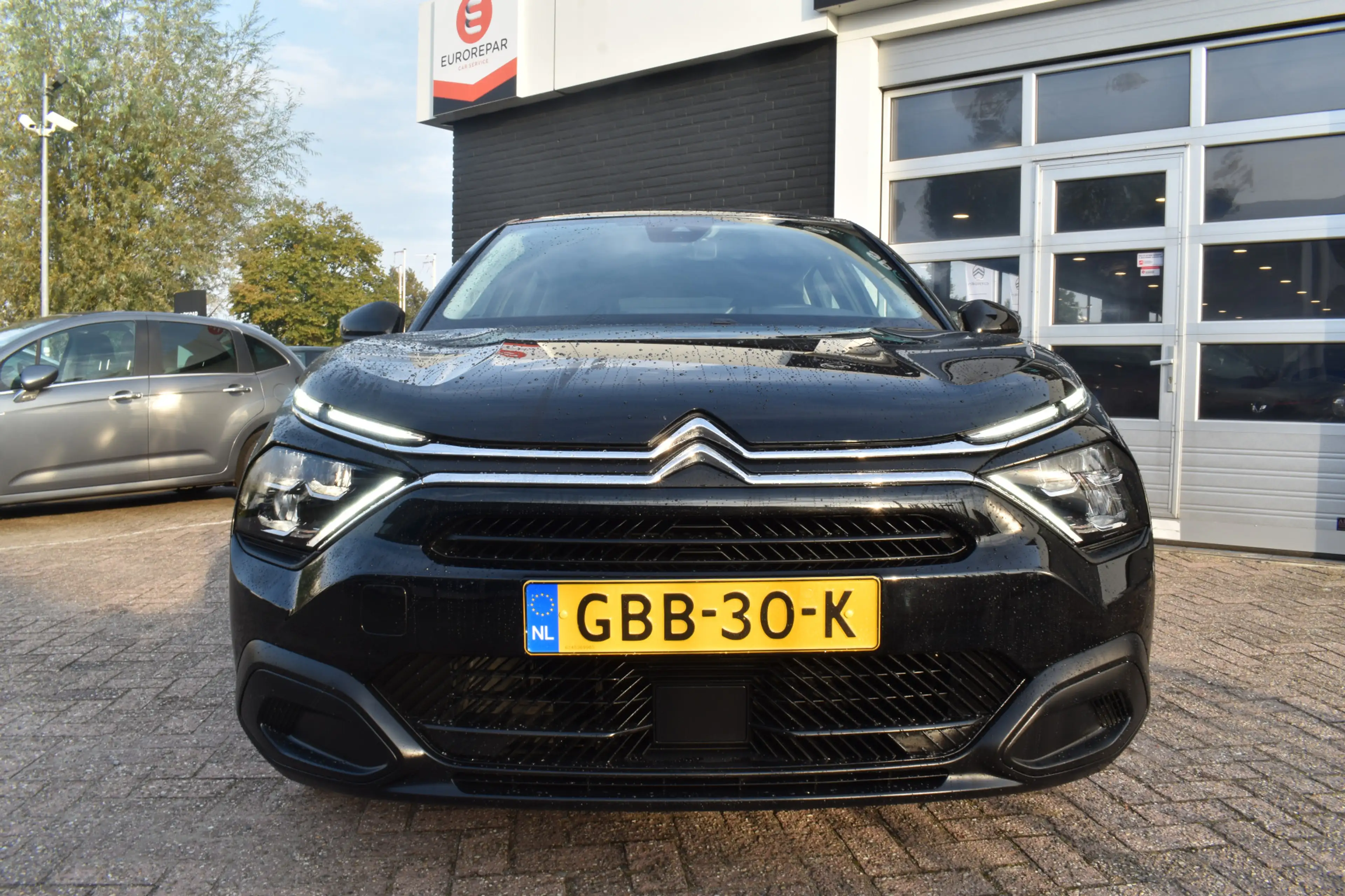 Citroen E-C4 Electric You 50 kWh — photo 6
