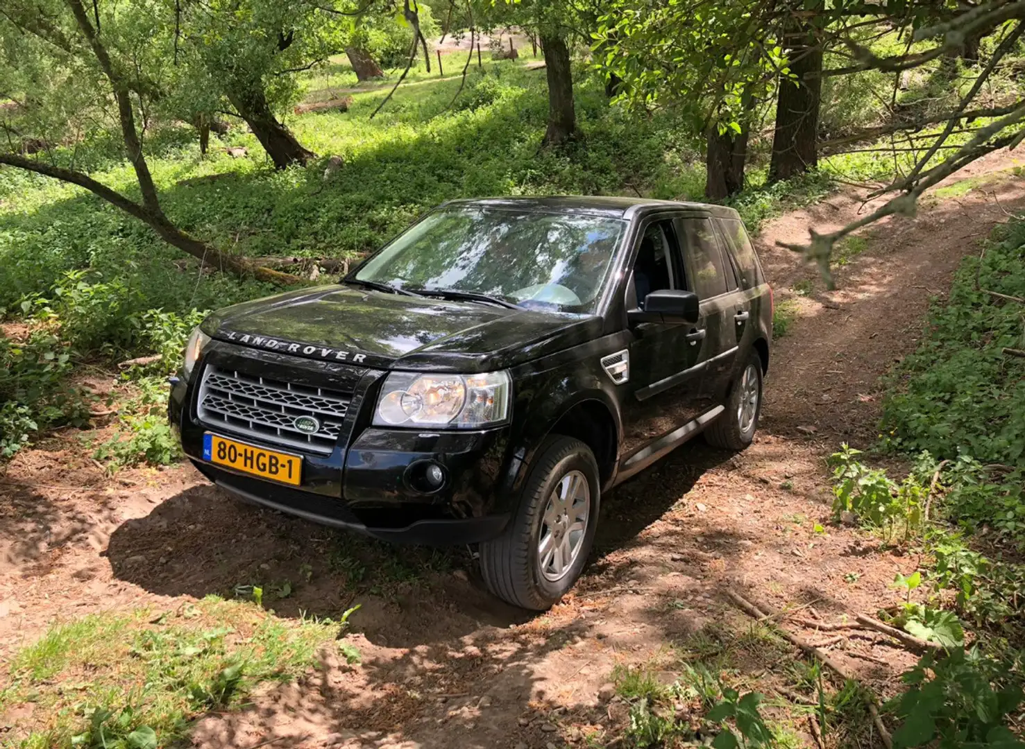 Land Rover Freelander 2.2 TD4 S YOUNGTIMER Zwart - 1