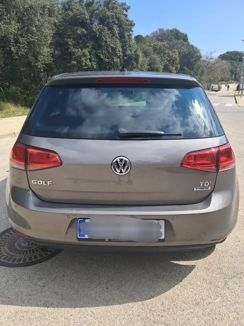 Volkswagen Golf Alltrack 1.6TDI BMT 4Motion 110 Gris - 2