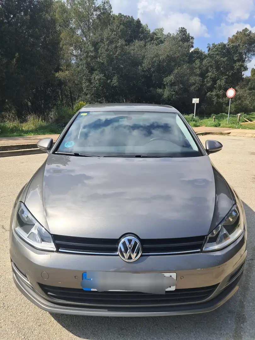 Volkswagen Golf Alltrack 1.6TDI BMT 4Motion 110 Gris - 1