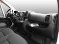 Toyota Proace Max L2 H2 Kasten NAVI SHZ PDC KLIMA BT ZV Blanc - thumbnail 7