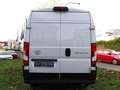 Toyota Proace Max L2 H2 Kasten NAVI SHZ PDC KLIMA BT ZV Blanc - thumbnail 4