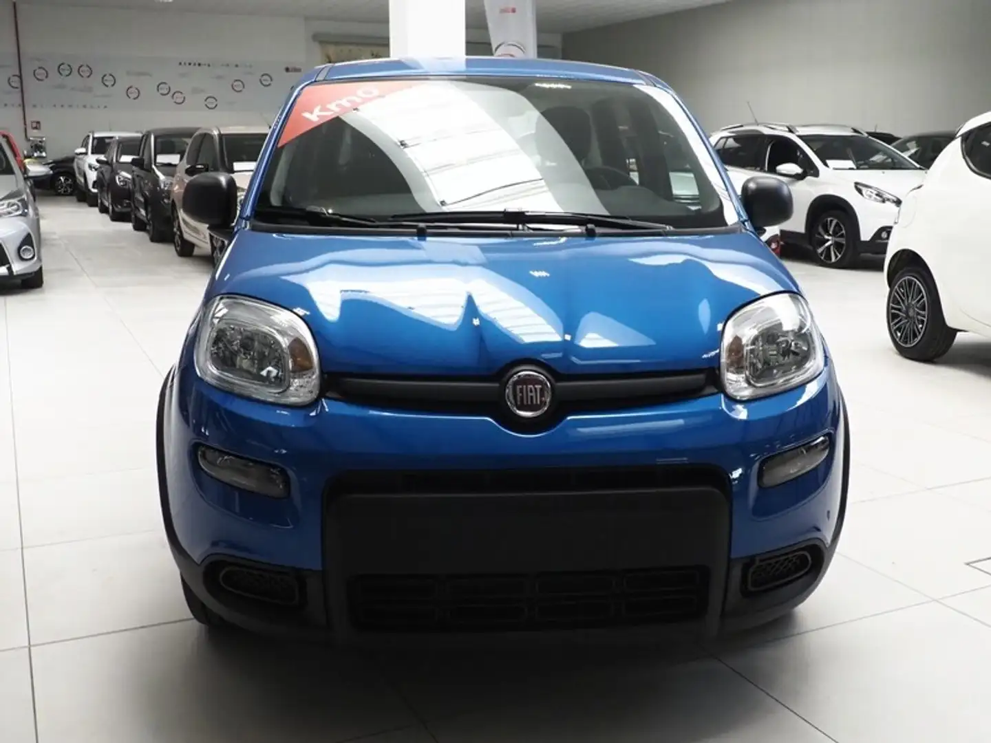 Fiat New Panda 1.0 FireFly Hybrid Bleu - 2