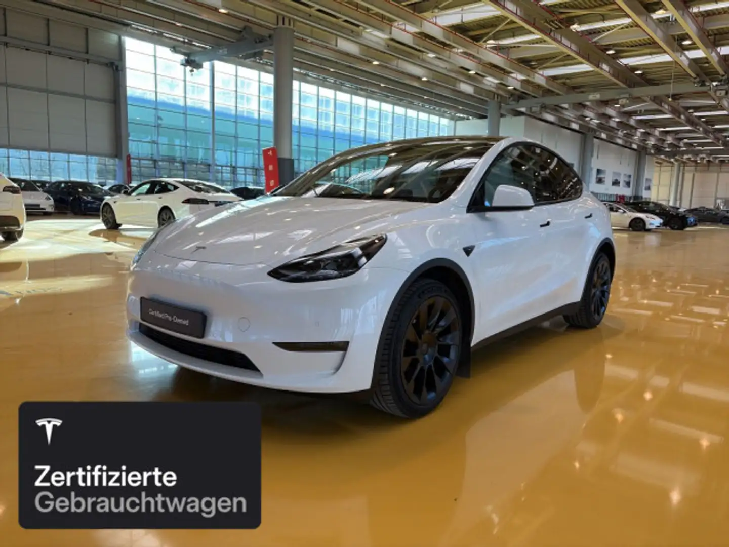 Tesla Model Y Long Range AWD Weiß - 1