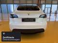 Tesla Model Y Long Range AWD Weiß - thumbnail 5