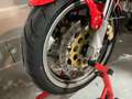 Ducati Monster 900 Carburatori Rot - thumbnail 6