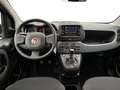 Fiat Panda 1.0 FireFly 70cv S&S Hybrid Pandina GPL LandiRenzo Weiß - thumbnail 13
