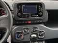 Fiat Panda 1.0 FireFly 70cv S&S Hybrid Pandina GPL LandiRenzo Weiß - thumbnail 18