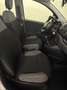 Fiat Panda Panda III 1.0 FIREFLY HYBRID S | UNIPROPRIETARIO | Bianco - thumbnail 14