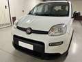 Fiat Panda Panda III 1.0 FIREFLY HYBRID S | UNIPROPRIETARIO | Bianco - thumbnail 4