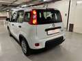 Fiat Panda Panda III 1.0 FIREFLY HYBRID S | UNIPROPRIETARIO | Bianco - thumbnail 7